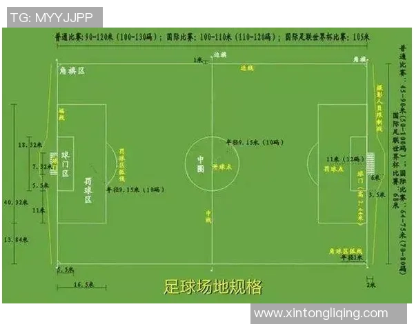 当前足球界第一梯队球星的实力对比与未来发展趋势分析