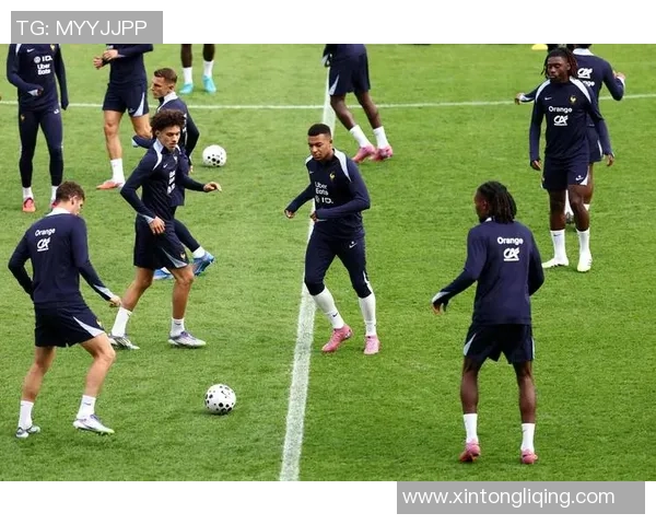 法国国家足球队现役球星集结分析与未来发展展望