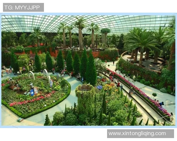 双子座足球明星盘点：那些拥有双重魅力的球场天才