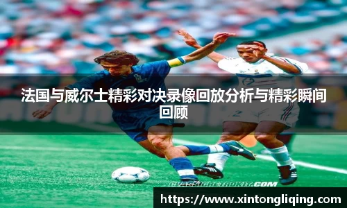 法国与威尔士精彩对决录像回放分析与精彩瞬间回顾