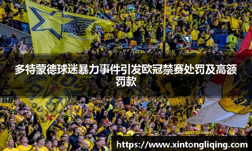 多特蒙德球迷暴力事件引发欧冠禁赛处罚及高额罚款