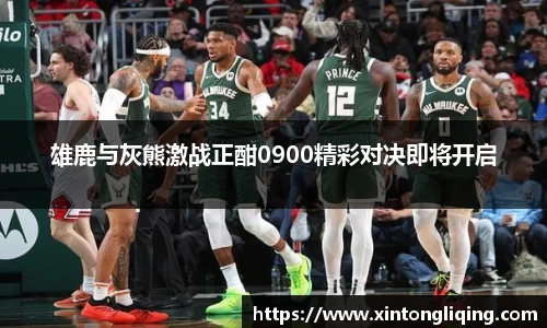 八大胜官方网址方
